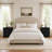 2 Drawers Solid Wood Construction Nightstand (Set Of 2)-278009837-282207066