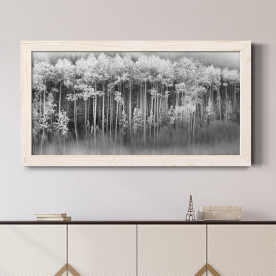 " Dreamy Aspen "
