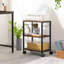 60cm H x 42cm W Printer Stand