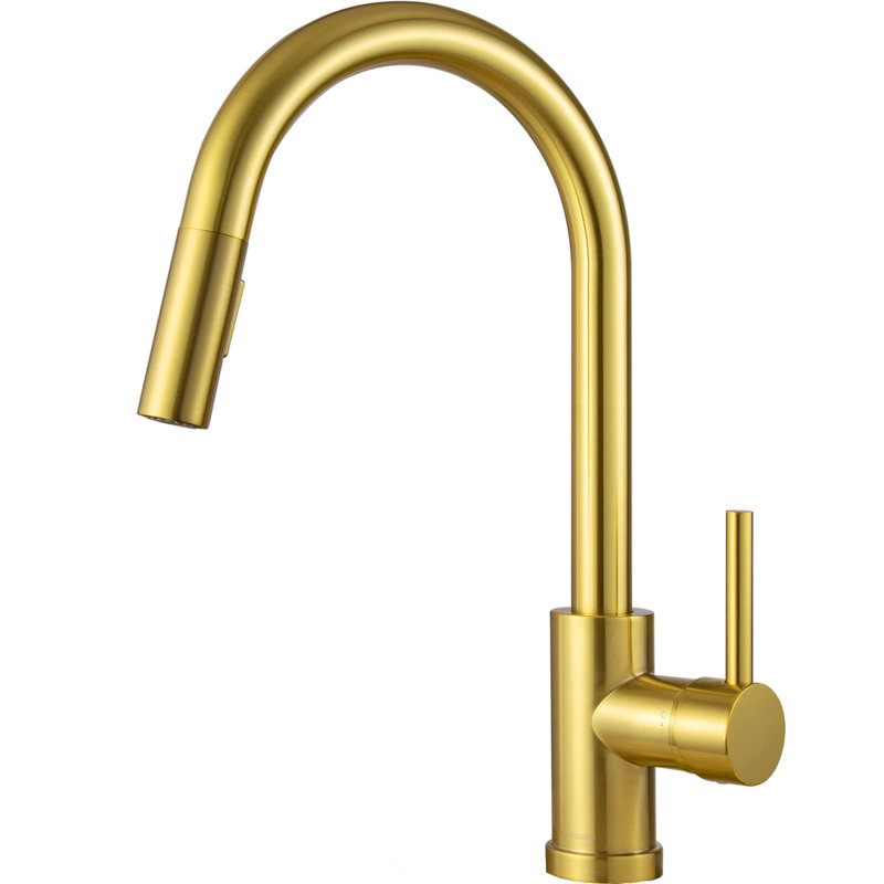 Pull Down Single Handle Kitchen Faucet with Accessories