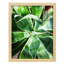 Green Tropical Succulent II - reproduction d'un seul cadre photo-446726529-446726533