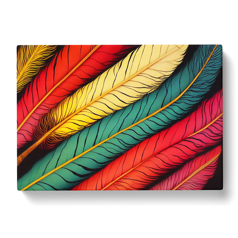 Colourful Bird Feathers Vol.1 - Wrapped Canvas, 35cm H x 50cm W x 3cm D