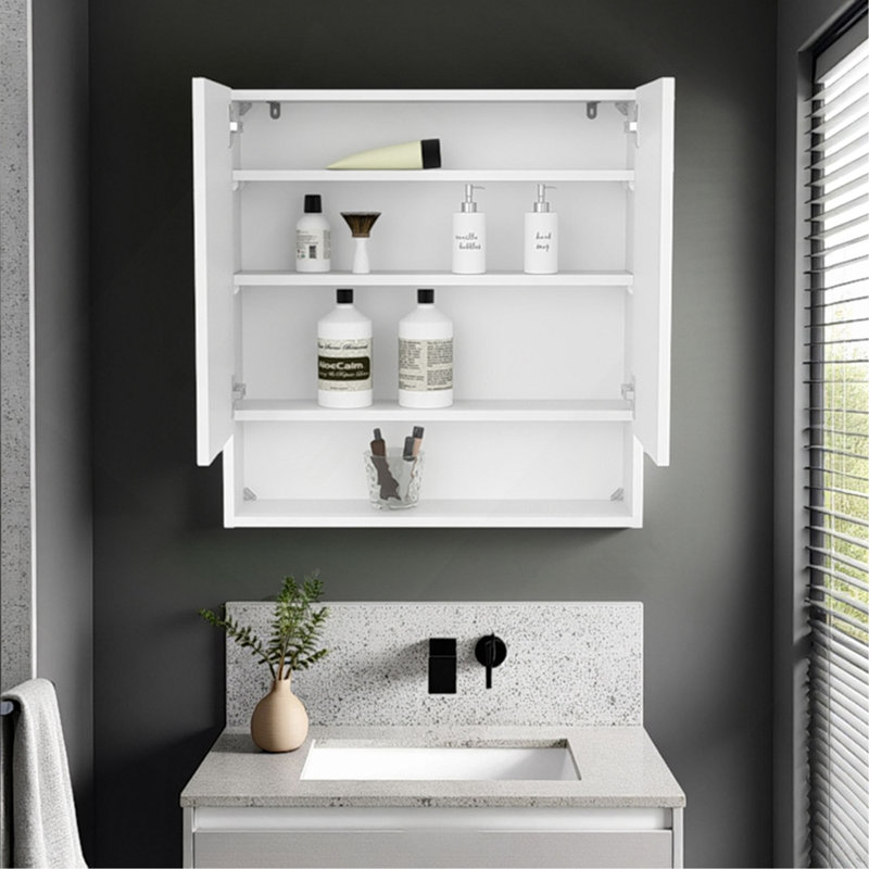 Armoire à pharmacie à double porte Hickory, idéale pour le rangement dans la salle de bain