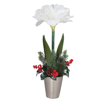 Centre de table Holiday Amaryllis en pot