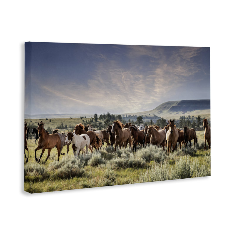 Art mural sur toile Bustling Horse Herd in Nature, design par PHBurchett, H 20 po x l 30 po