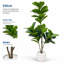158 cm H Faux Plant