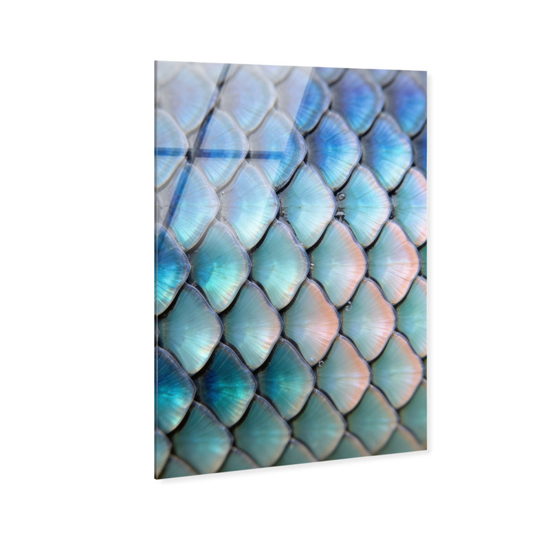 Mermaid Zoom Acrylic Painting Print, 15"H x 10"W, High-Gloss Acrylic Print