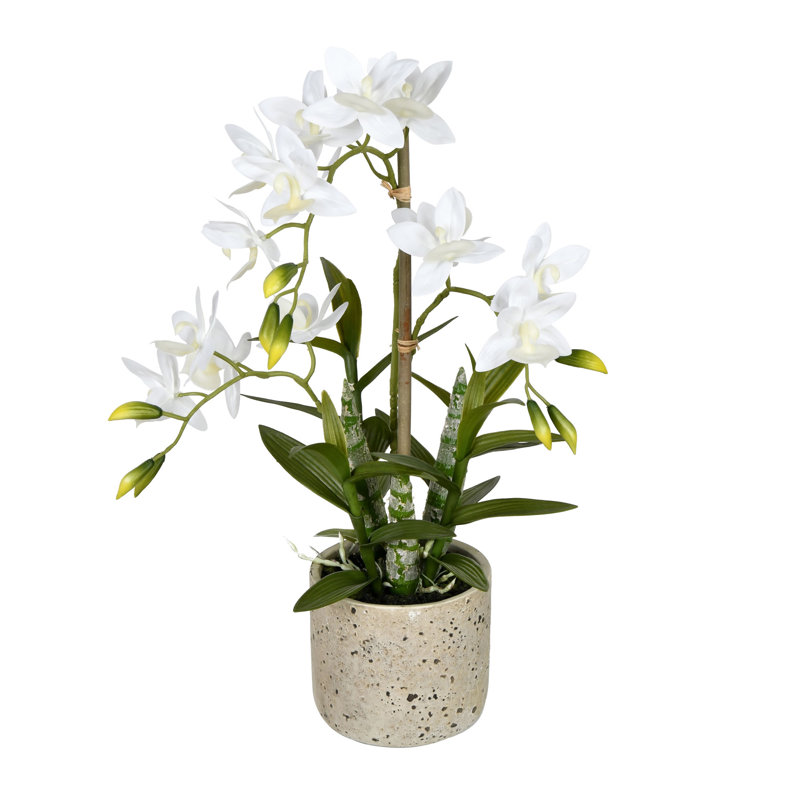 Orchidée artificielle 19 po Deluxe, Blanc