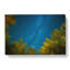 Beneath the Stars in Abstract - Wrapped Canvas-55313276