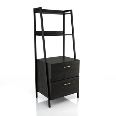 25.59'' Wide 2 -Drawer File Cabinet