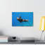 No Frame Print on Canvas-1664392396