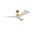 Burnished Brass with Matte White Blades
