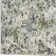 Mamane Transitional Floral Green Area Rug