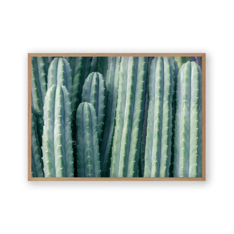 Print, Oak Frame, 22 cm H x 31 cm W x 2.5 cm D