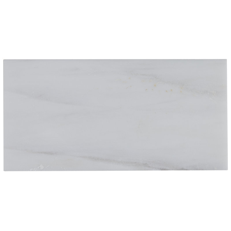 Marble Collection 6" x 3" Lightly Polished Natural Stone Field Tile in Contempo White