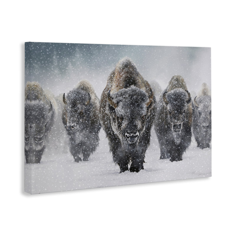 «Indomitable Bison in Snow», art mural sur toile par Mark Kelso, H 30 po x l 45 po