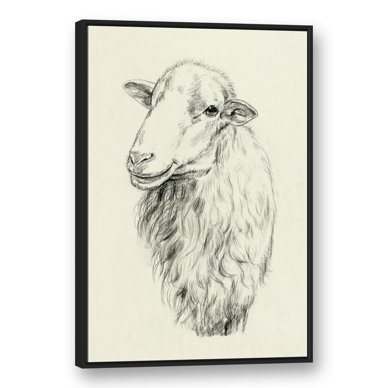« campagne mouton sketch », reproduction de dessin sur toile tendue, H 48 po x l 32 po, Cadre noir