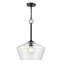 Luminaire suspendu 1 lumière avec abat-jour en verre transparent Longshore Tides Borghild-26268657