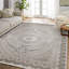 Tapis oriental gris à imprimé numérique tissé antidérapant lavable à la machine