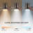 Spero 52'' Ceiling Fan with LED Lights