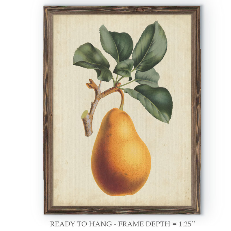 « antique poir botanique i » par paul cezanne-photo, reproduction d’art sur cadre, H 16 po x l 22 po x P 1 po