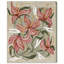Daffodils And Lilies Print by Oliver Gal-1337252818-1337252829