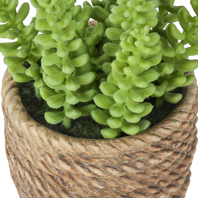 Ensemble de 2 plantes succulentes à ficelles artificielles, plantes de queue de faux Burro dans des pots de ciment brun à texture tissée, décoration de table Boho