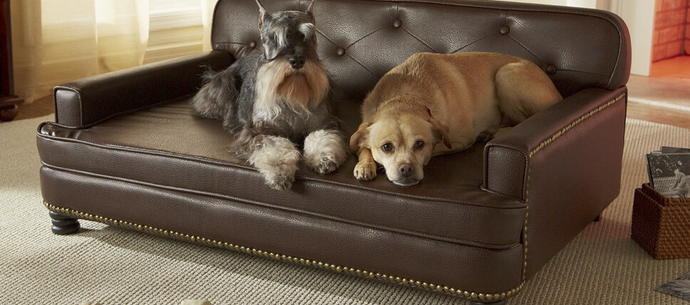 Dog Beds For Every Breed 2024 Wayfair   Dog Beds For Every Breed 