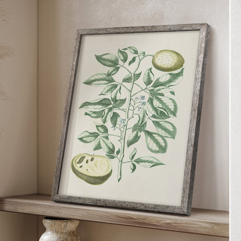 Buchoz Tropicals III Framed Print - Solid Wood, 30" H x 24" W