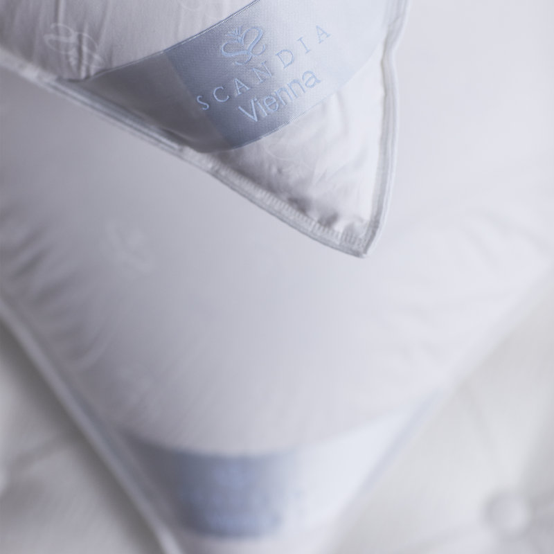 Standard White Cotton Hypoallergenic Medium Density Pillow