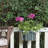 Weather Resistant Plant Stand-587793409