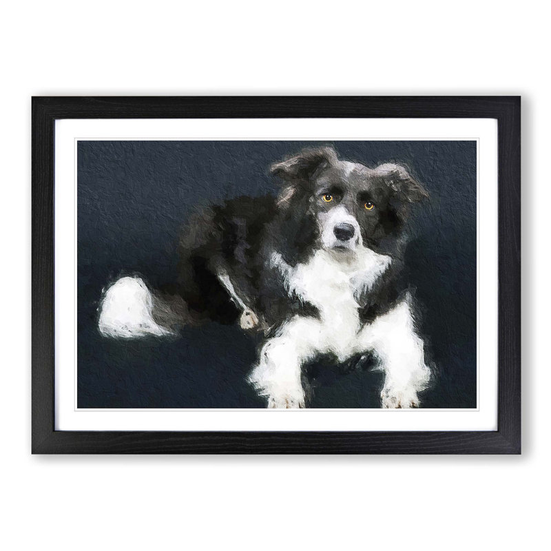 Resting Border Collie Dog - Picture Frame Painting Print on MDF, Black Framed, 27cm H x 36cm W x 2cm D