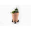 Pieds de jardinière cochon couleur bronze dans une boîte cadeau