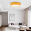 Parvin Flush Mount-1222393049