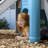 Jouet d'escalade pour tout-petits Step2 Scout & Slide