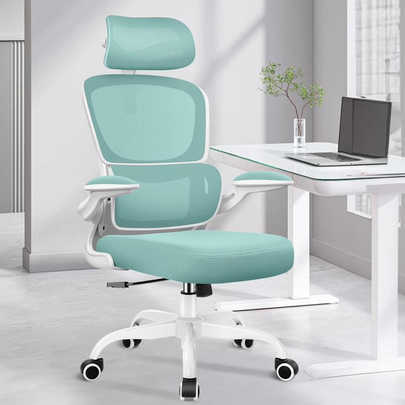 Lidwien Ergonomic Breathable Mesh Office Chair with Adjustable Headrest and Flip-Up Arms, White/MintGreen