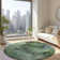 Decicco Washable Abstract Indoor / Outdoor Rug