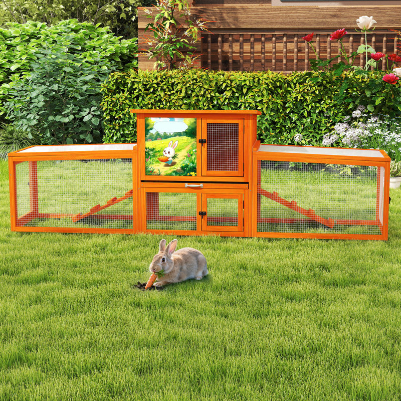 Cage à lapin résistante aux intempéries avec rampe Brazoria