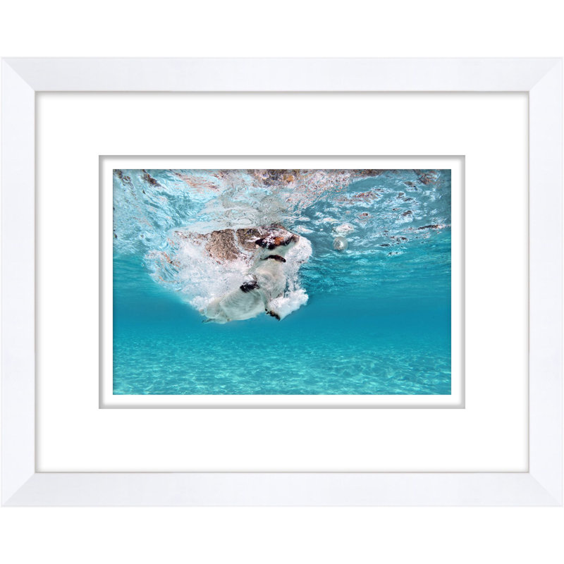 Disco Dog Paddle 1