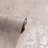 Lloyd Stone Texture Wallpaper-1127935250