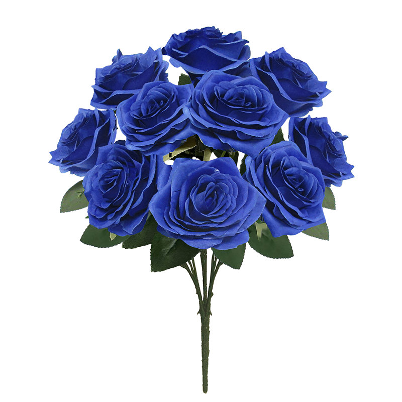Grand rosier Jaafer Deluxe, Bleu royal