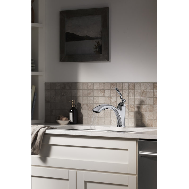 Robinet de cuisine à poignée simple Ludington avec MasterClean et douchette latérale Ludington, Chrome poli