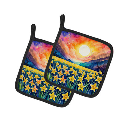 Paire de poignées colorées jonquilles colorées