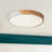 Luling Simply Design Energy-Saving Circle LED Dimmable Flush Mount Ceiling Light Fixture-1971631767-1971631771