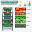 Aunica Vertical Garden
