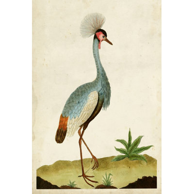 Heron Portrait I - Painting