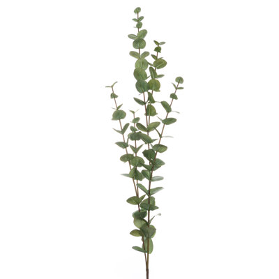 Anastasija Arrangement