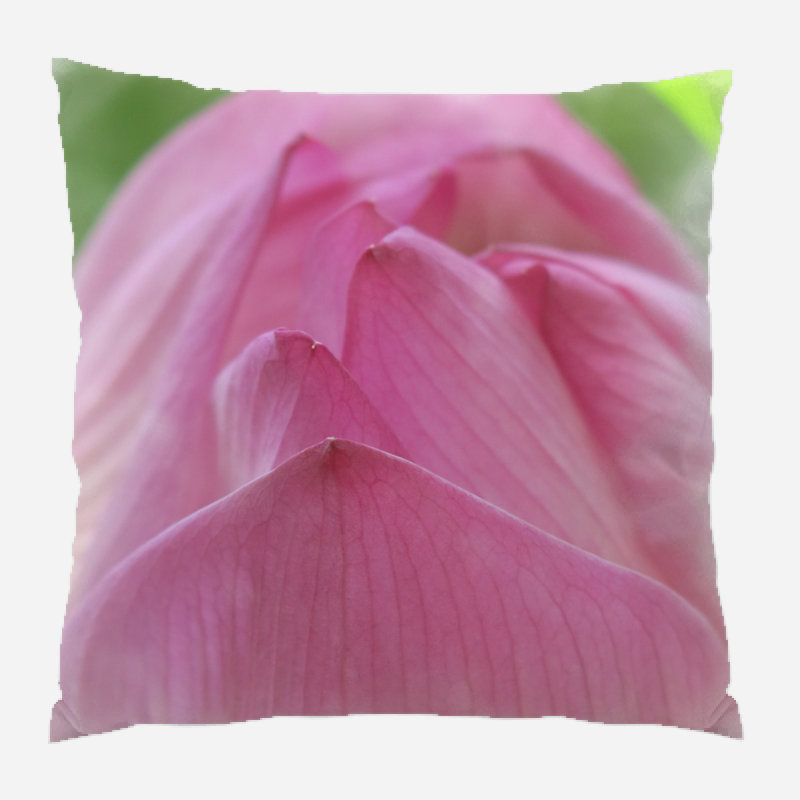 Housse et insert de coussin d'extérieur carré naturel Jarrell, Microsuède, Intérieur