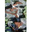 Plessis Outdoor Cascade Fountain