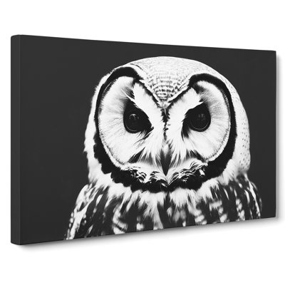 Owl Portrait Monochrome Vol.1 - Wrapped Canvas Print
